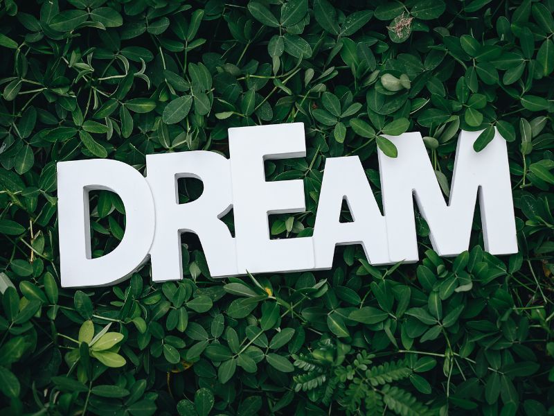 Do you enjoy having dreams?