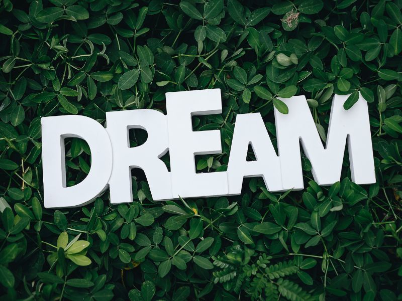 Do you enjoy having dreams? Do you enjoy having dreams?